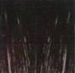 1b
